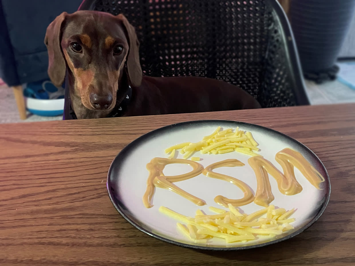 New dairy tariff dubbed "the cheese tax" RSM Australia